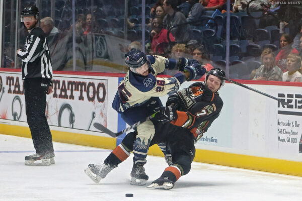 53310418295_caf7ecadb1_k