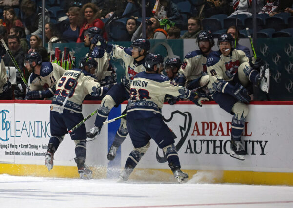 53364300877_bc342f9aa1_k