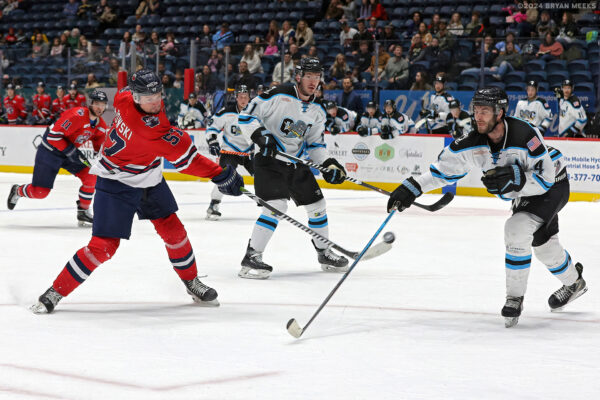 53472618878_34c6c3c2b9_k