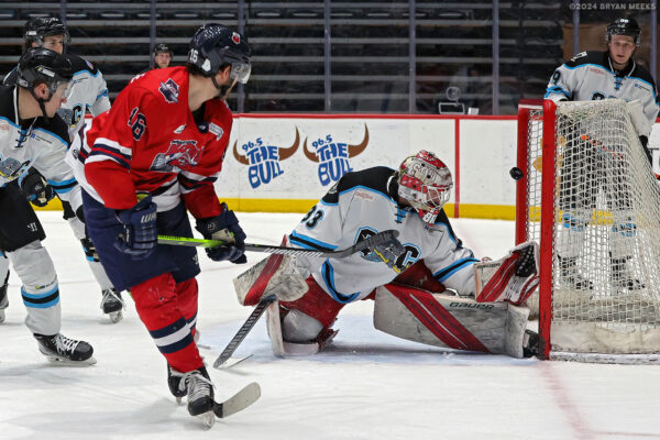 53472619118_6737a849c9_k