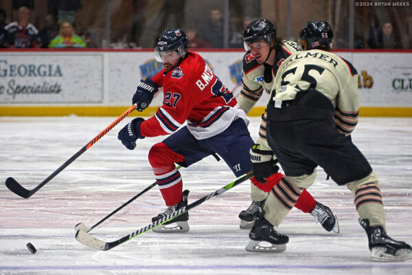 53568571258_d42c5597a3_c