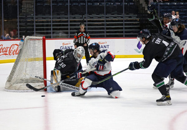 53599119489_d9182e1faa_k