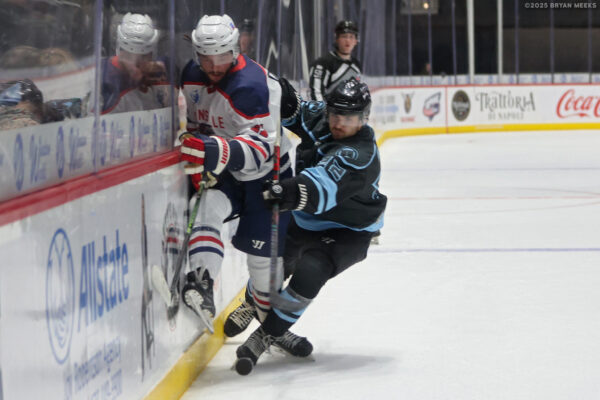 54958608513_2db839b08e_k