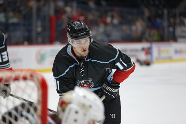 54970474611_2a030cd2d9_k