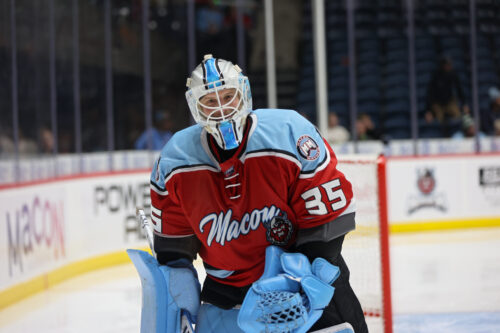 55025297572_a3e4741cae_k