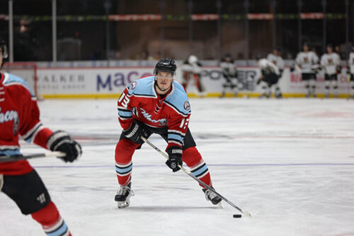 55025300162_5905cf3ee9_k