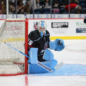 55048969718_c652bdc0e2_k