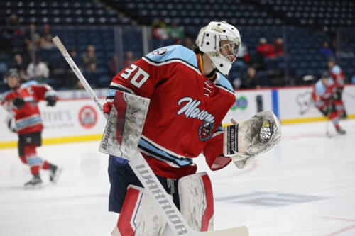 55061421049_4096076567_k