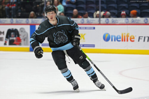 55089554248_7207aa9484_k