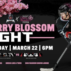 CherryBlossom