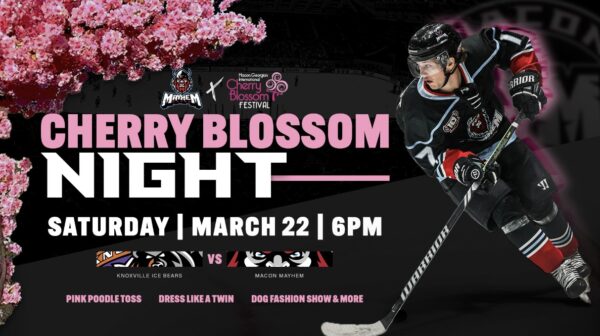 CherryBlossom