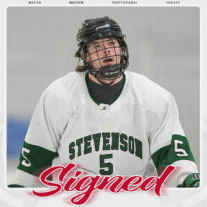 Dineen