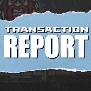 Transaction Report copy