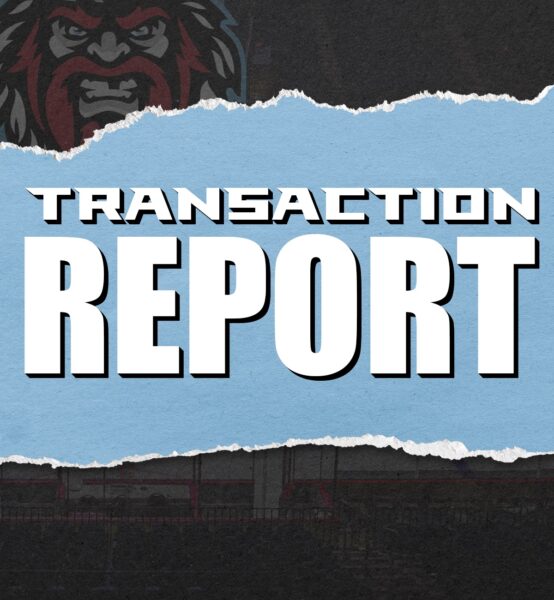 Transaction Report copy