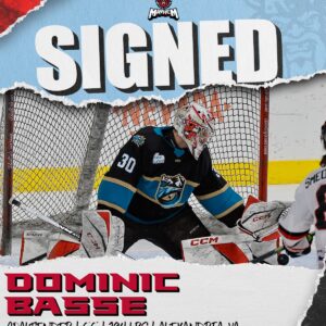 dominic basse