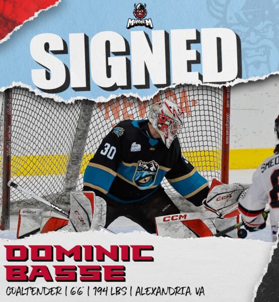 dominic basse